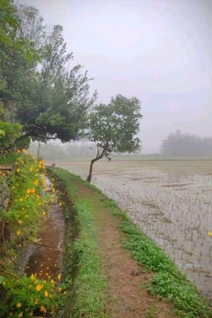 Story | അന്ന് പെയ്ത മഴയിൽ 