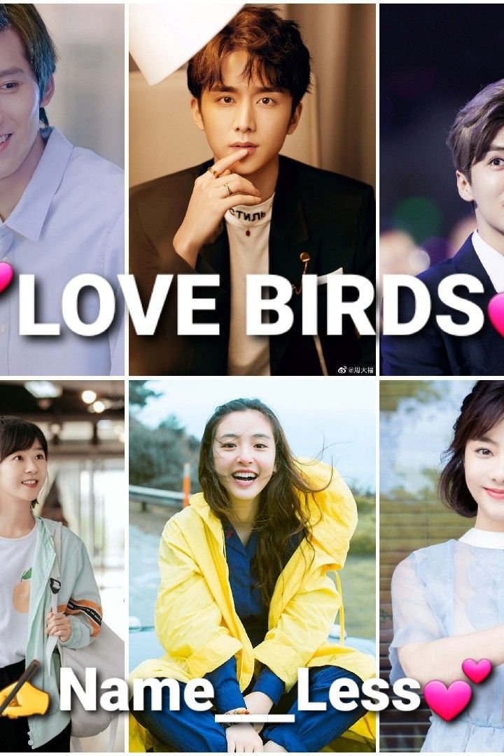 Story | 💕LOVE BIRDS💕part 19