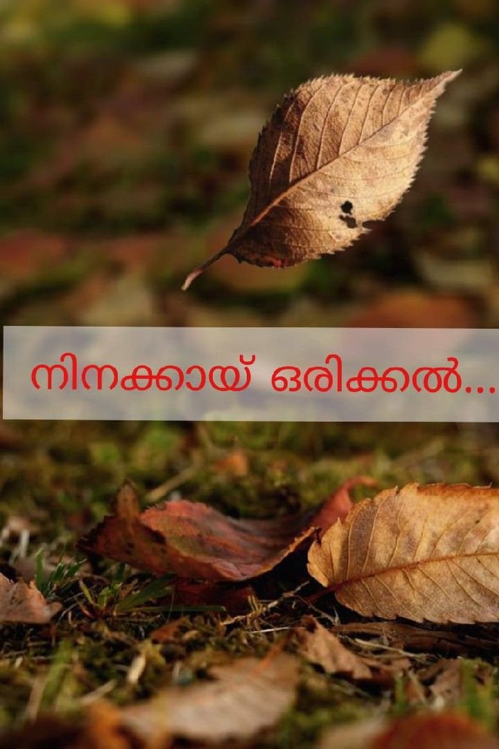 Story | നിനക്കായ് ഒരിക്കൽ...