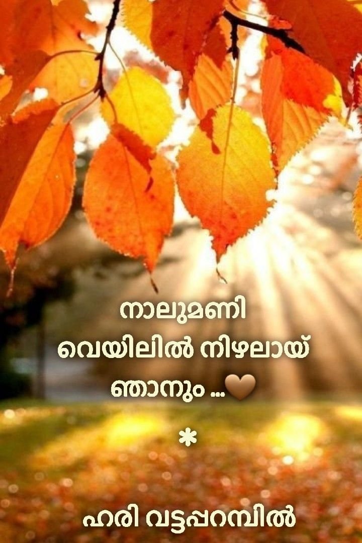 നാലുമണി വെയിലിൽ-Listen to this song @ hari vattapparambil/youtube.com