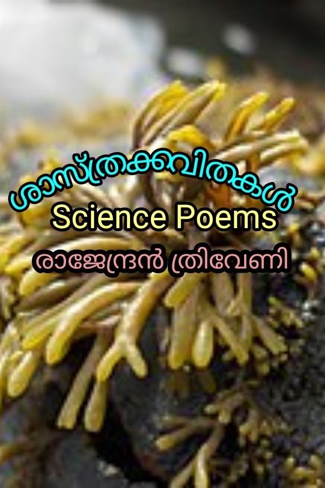 Story | കൽക്കരി 