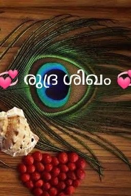 💞 രുദ്ര ശിഖം 💞 4