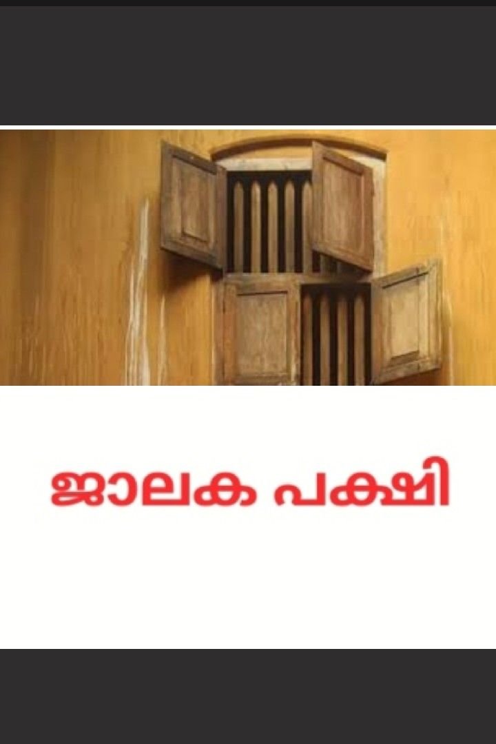 Story | ജാലക പക്ഷി.....