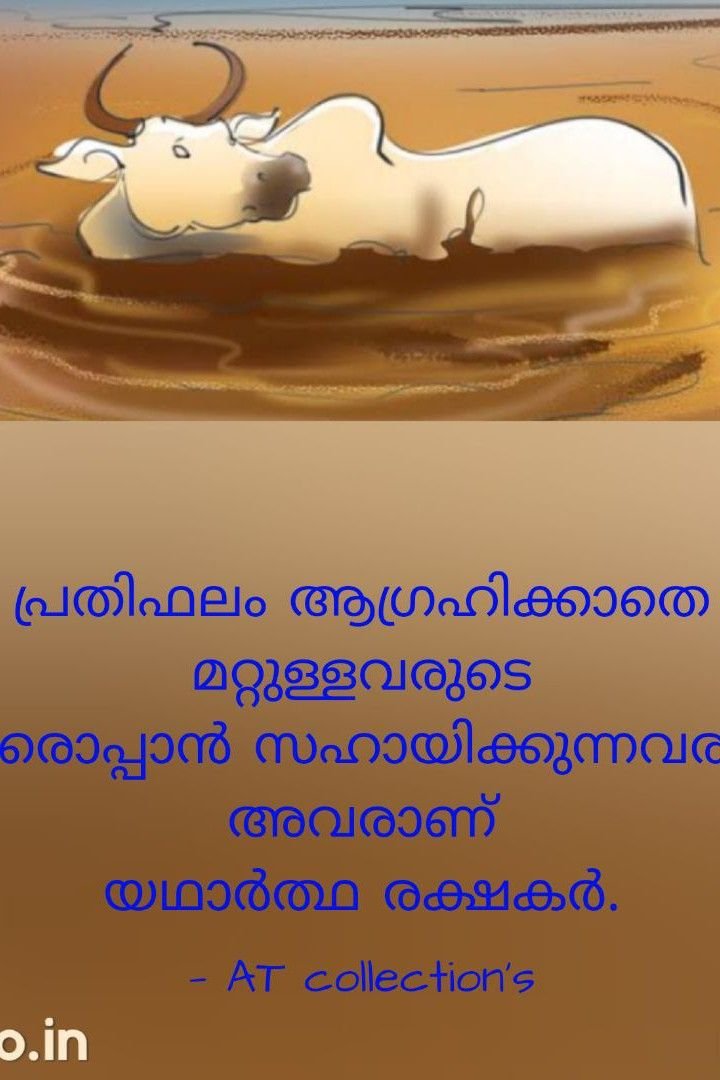 Story | രക്ഷകർ 