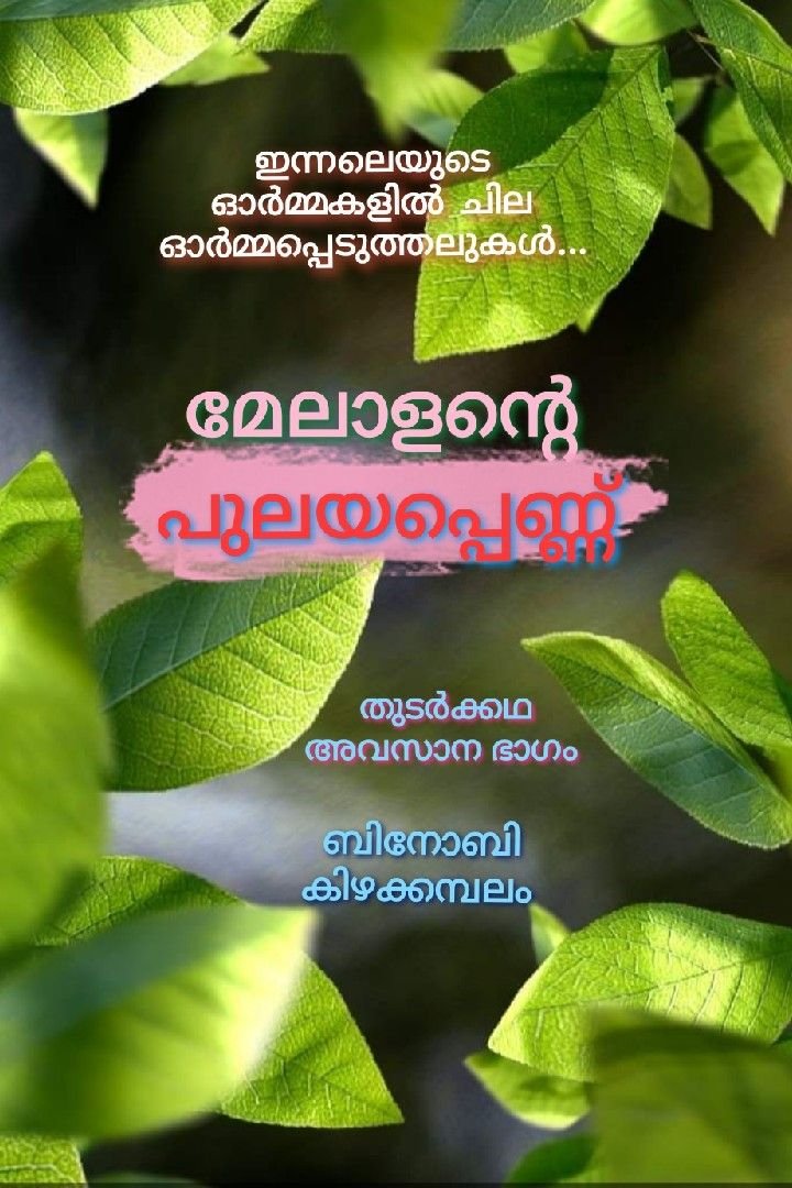 Story | മേലാളന്റെ പുലയപ്പെണ്ണ് - തുടർക്കഥ - അവസാന ഭാഗം 