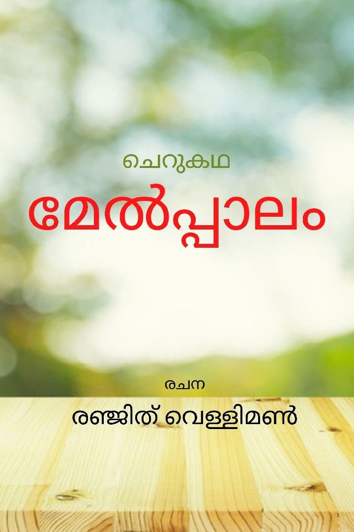 Story | മേൽപ്പാലം