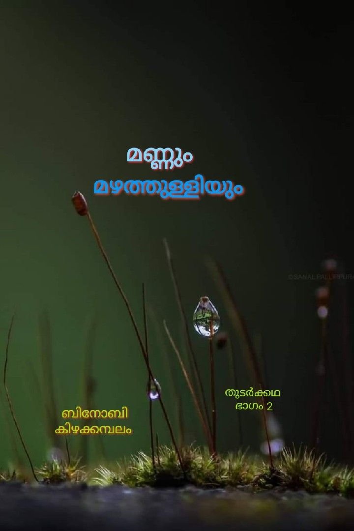 മണ്ണും മഴത്തുള്ളിയും - തുടർക്കഥ ഭാഗം 2 