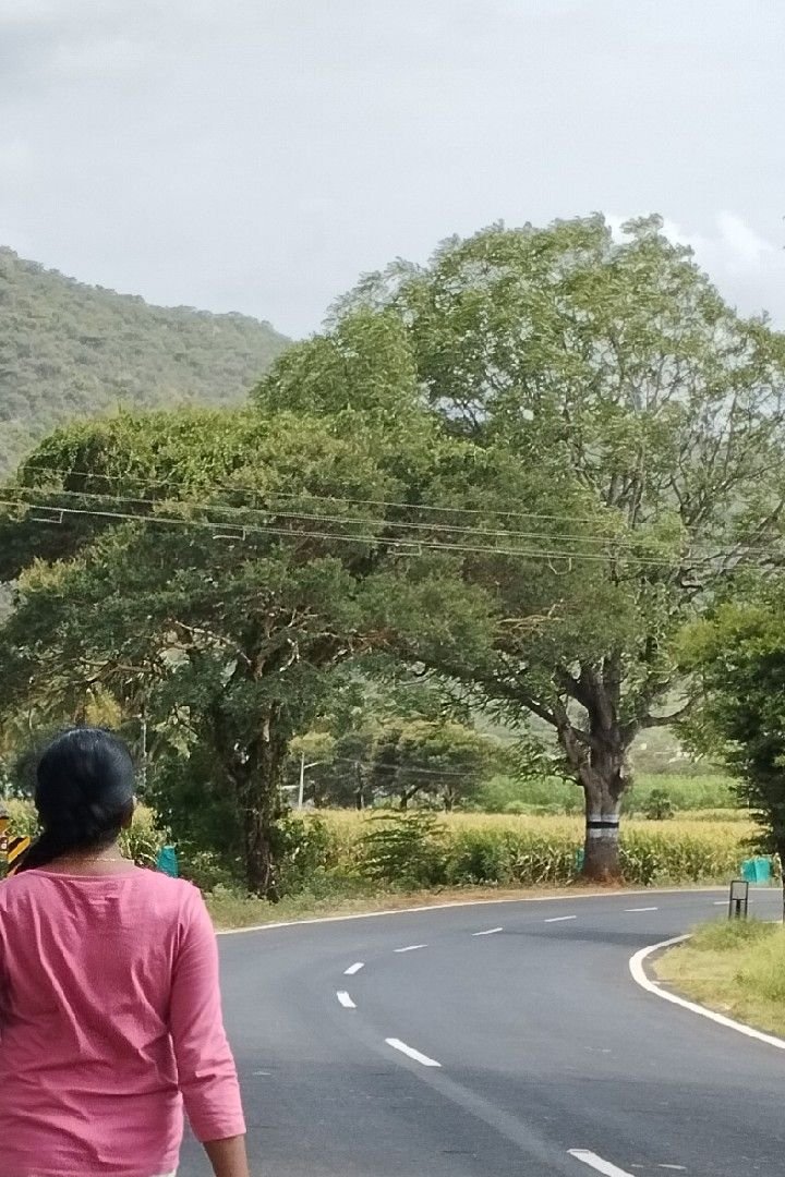 Story | പ്രണയം