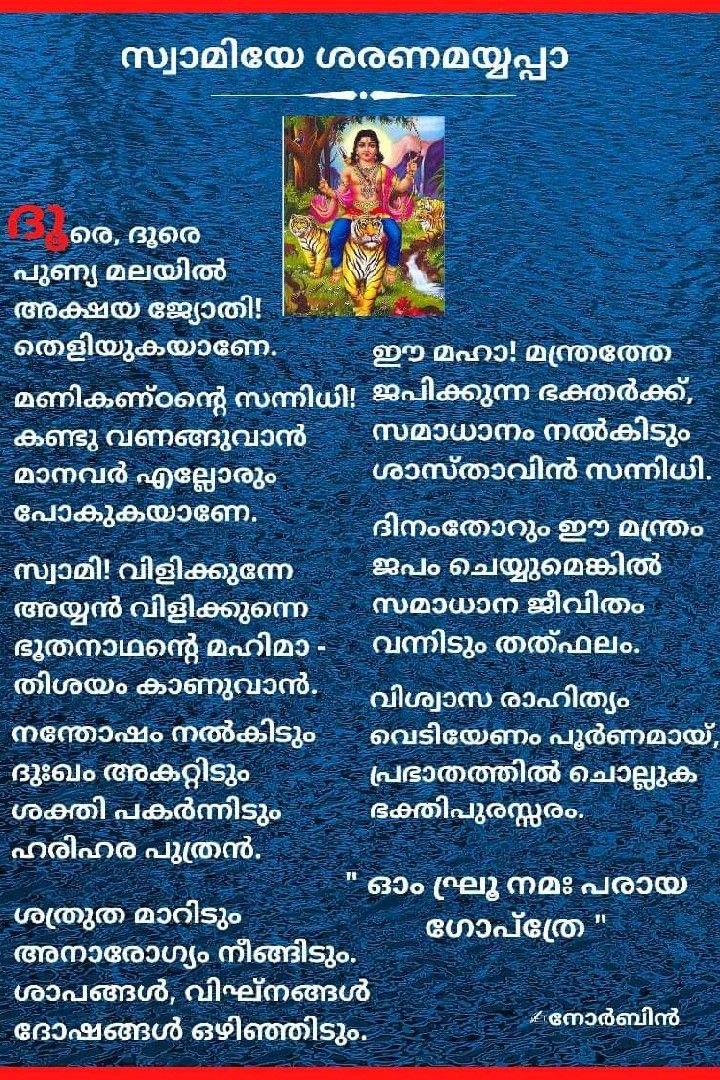 സ്വാമിയേ ശരണമയ്യപ്പാ 