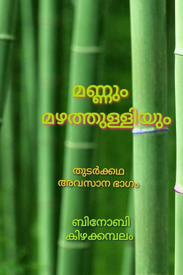 മണ്ണും മഴത്തുള്ളിയും - തുടർക്കഥ അവസാന ഭാഗം 