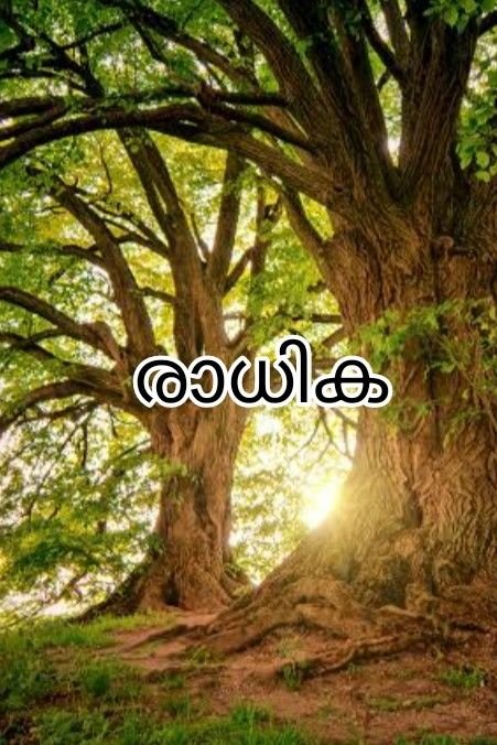 Story | രാധിക 