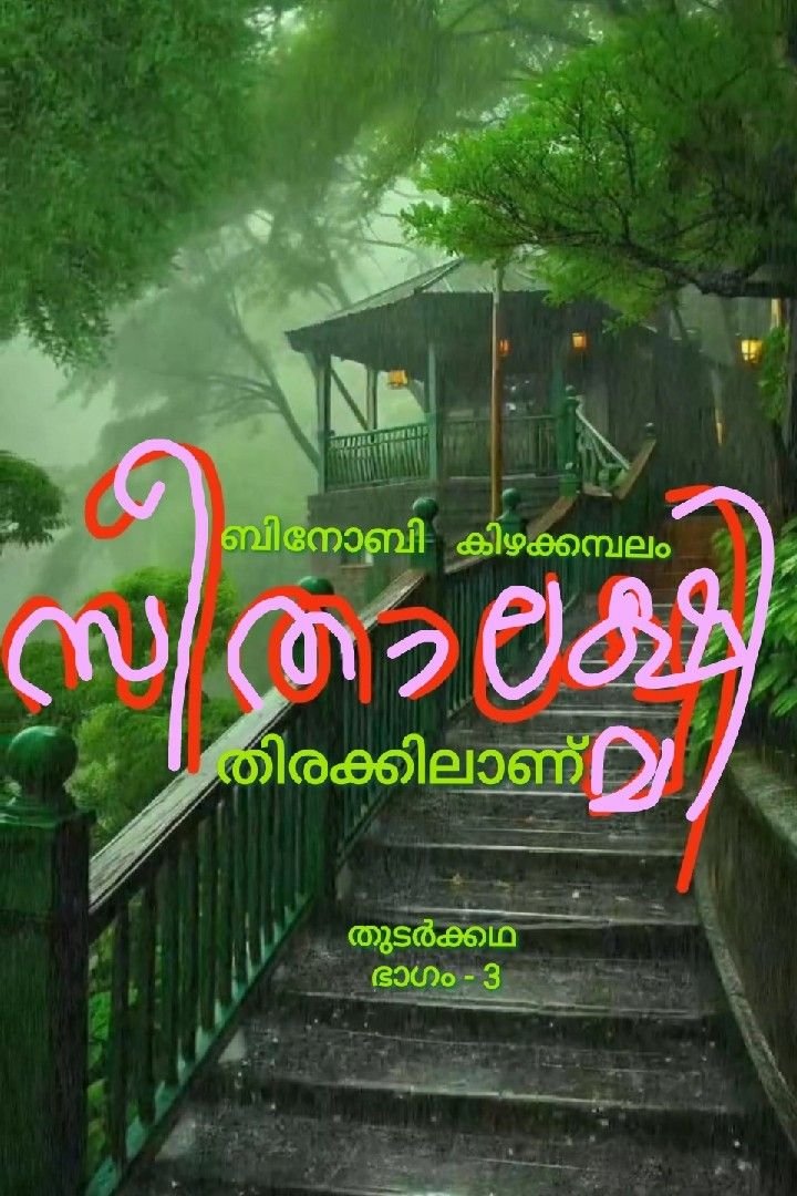 Story | സീതാലക്ഷ്മി തിരക്കിലാണ്- തുടർക്കഥ ( ഭാഗം-3)