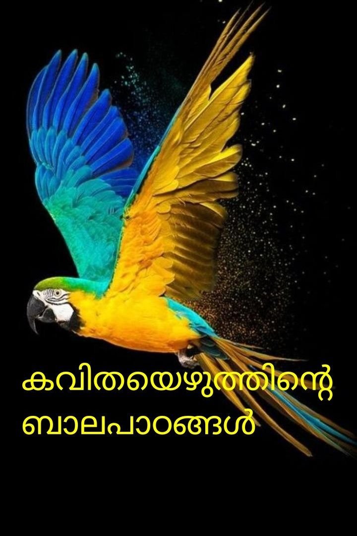 കവിതയുടെ ബാലപാഠങ്ങൾ ഭാഗം 2