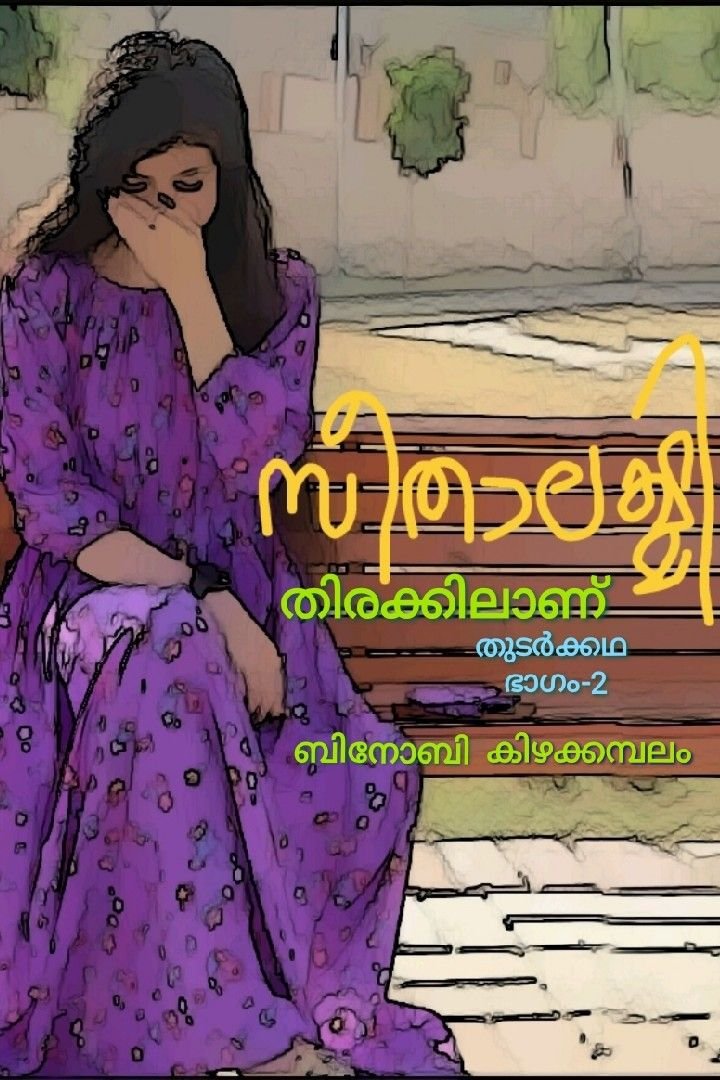 Story | സീതാലക്ഷ്മി തിരക്കിലാണ് - ഭാഗം -2