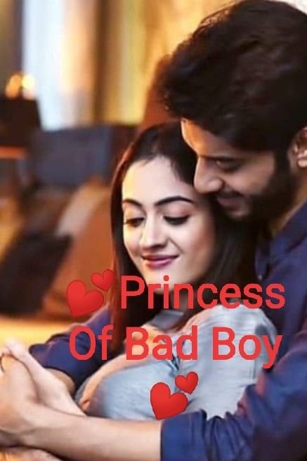 Story | Princess Of Bad Boy - 1