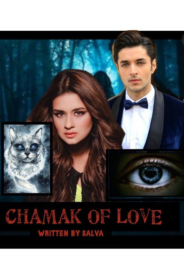 Story | CHAMAK OF LOVE - Part 14