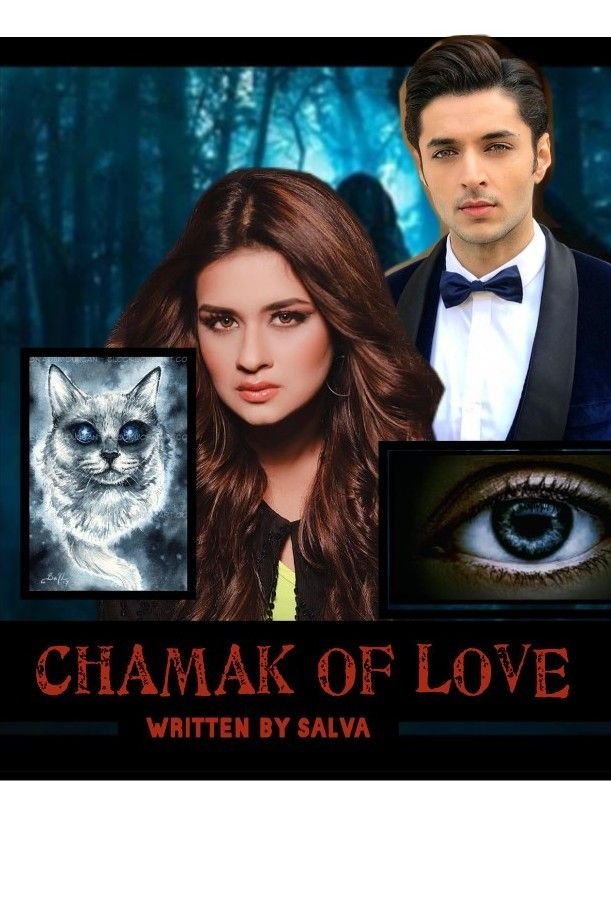 Story | CHAMAK OF LOVE - Part 17