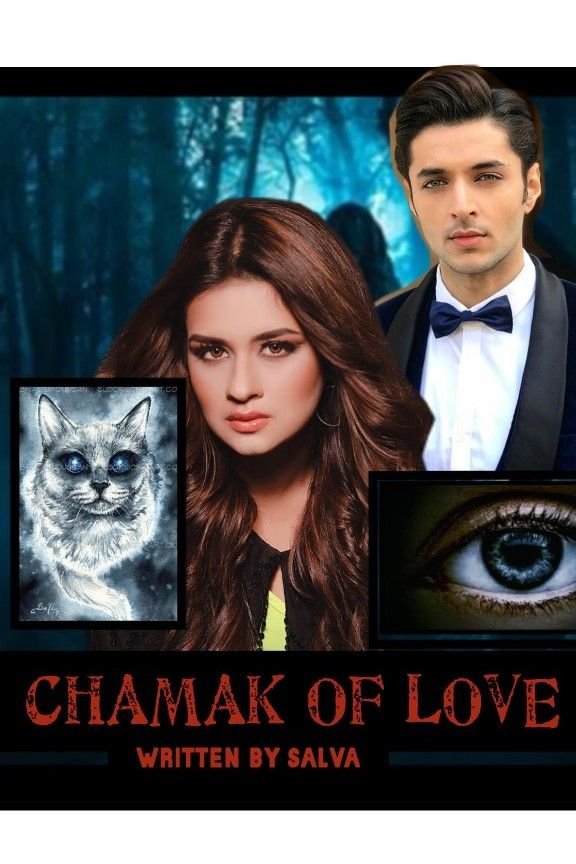 Story | CHAMAK OF LOVE - Part 18