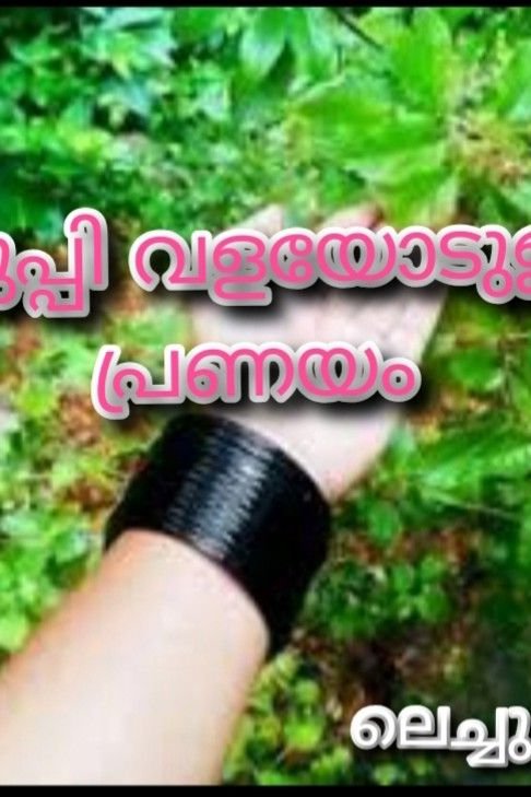 Story | കുപ്പി വളയോടുള്ള പ്രണയം