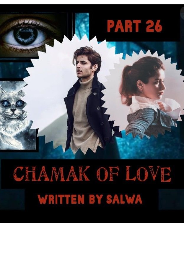 Story | CHAMAK OF LOVE - Part 26