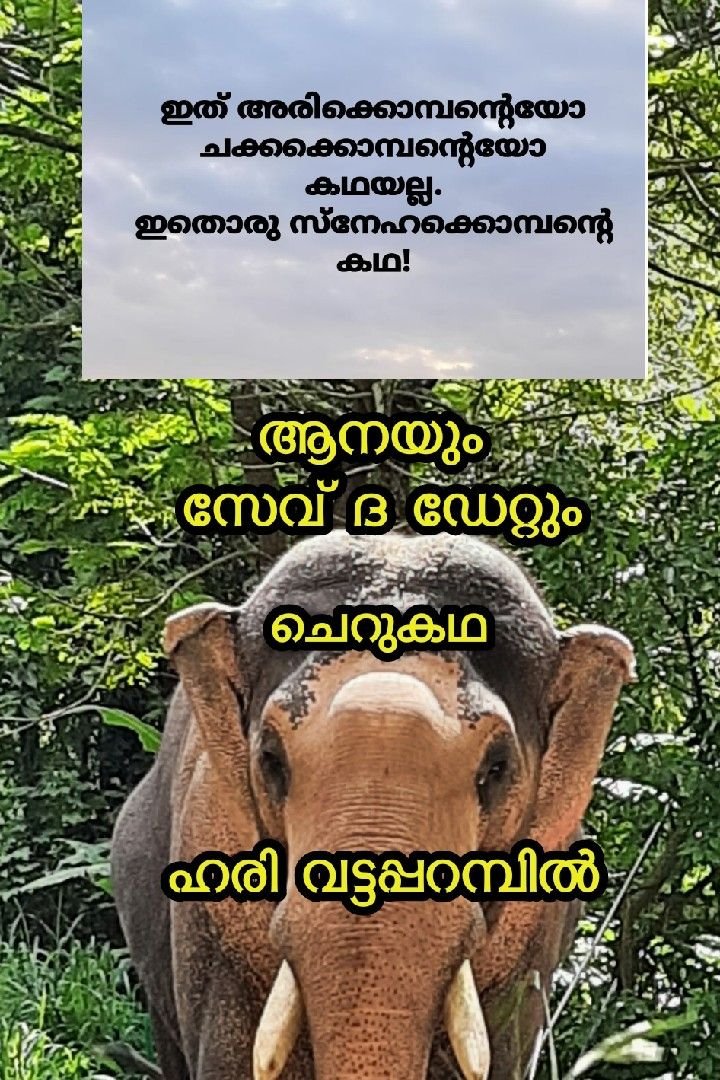 ആനയും സേവ് ദ ഡേറ്റും