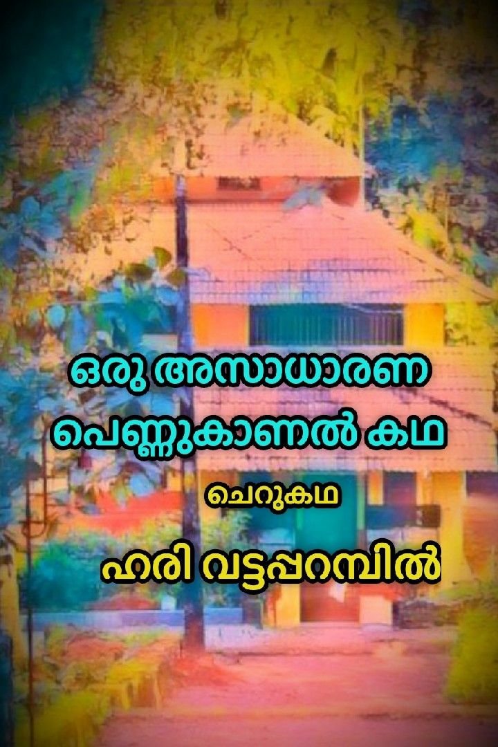 ഒരു അസാധാരണ പെണ്ണുകാണൽ കഥ