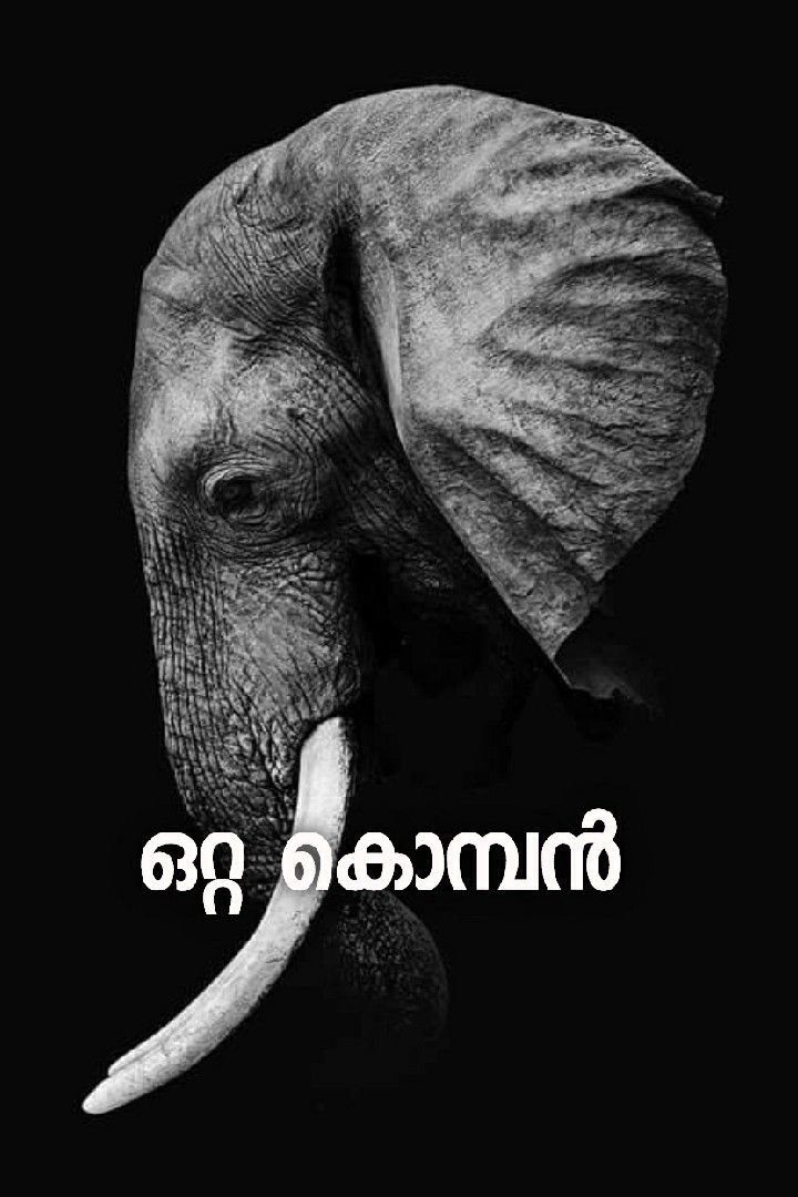 Story | കൊലകൊമ്പൻ