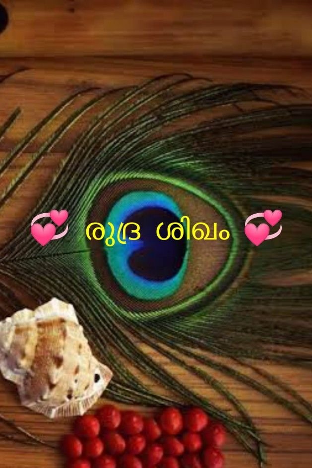 Story | 💞 രുദ്ര ശിഖം💞 2