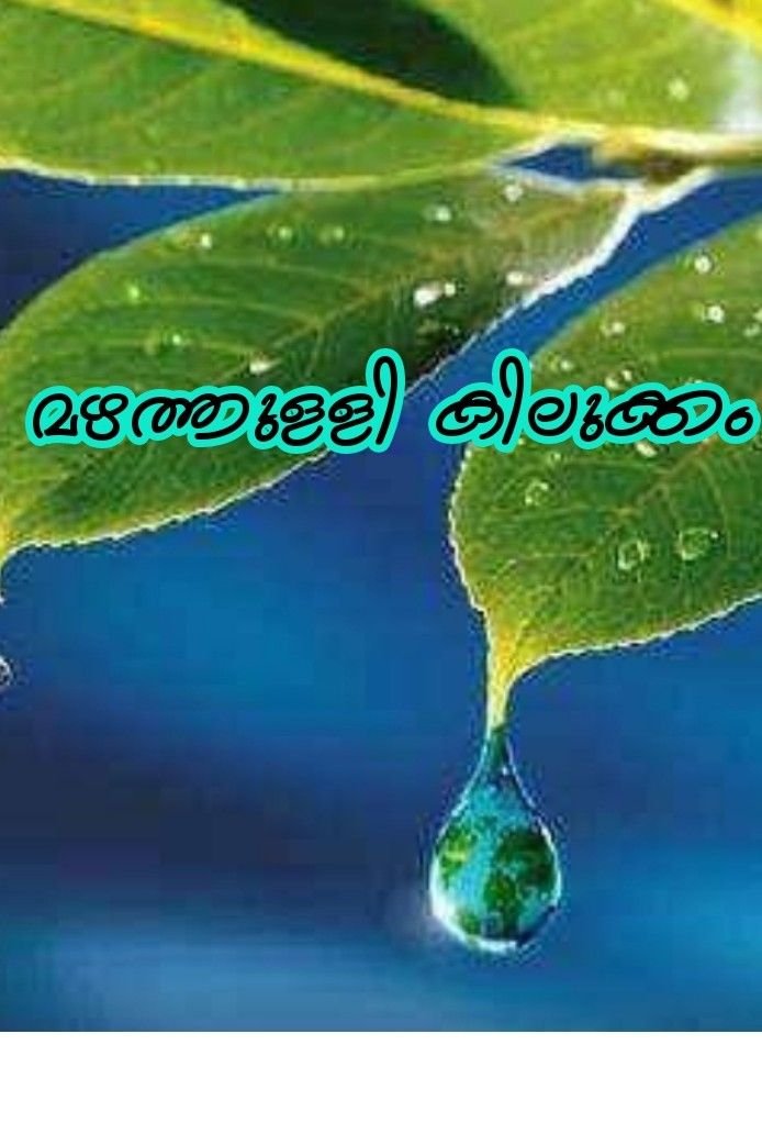 Story | മഴത്തുള്ളി കിലുക്കം