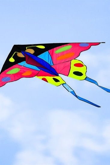 Story | The Skyward Journey of Kiran the Kite