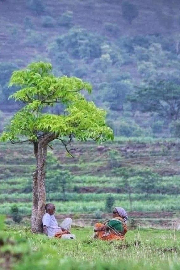 അഗതി മന്ദിരം 