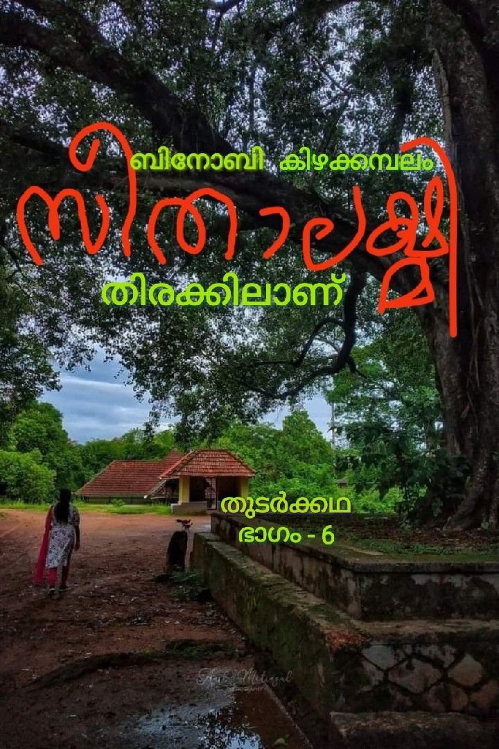 സീതാലക്ഷ്മി തിരക്കിലാണ്- തുടർക്കഥ( ഭാഗം-6)