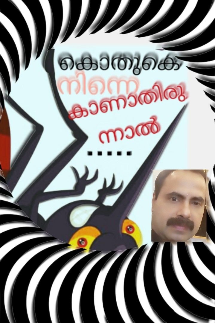 Story | കൊതുകെ നിന്നെ കാണാതിരുന്നാൽ..